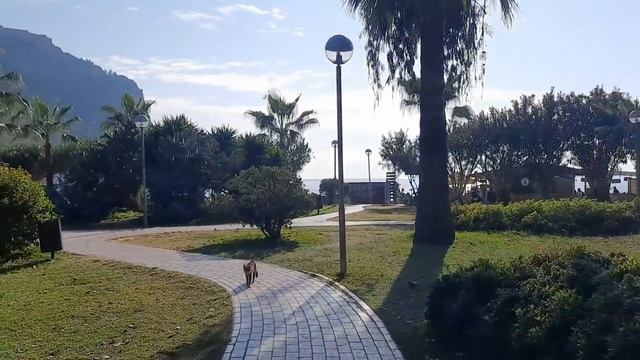 Турция в ноябре??ШИКАРНАЯ ПОГОДА☀️Пообедала В ЛОКАНТЕ?Море меня ждет?Все супер?