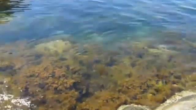 Медитация у моря. смотреть онлайн