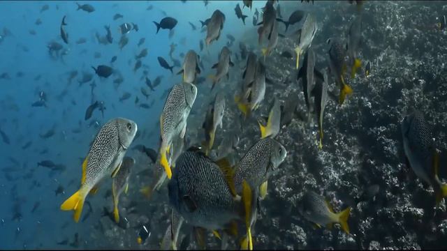 Как найти покой в этом мире / Nikosho смотреть онлайн