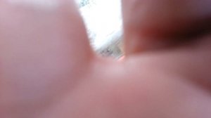 Детёныш обезьяны