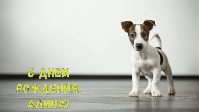 С днем рождения, Алина! смотреть онлайн