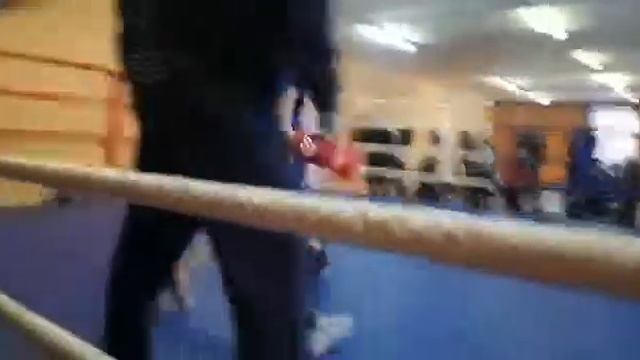 Спаринги, Курск февраль 2019(26)