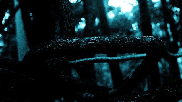 Echoes Of The Enigmatic Unraveling The Haunting Horror Stories- Tales Of Terror