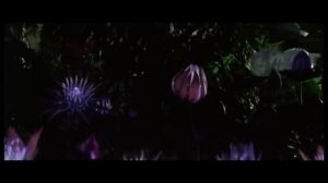 Клэри и Джейс- Любовь по нотам