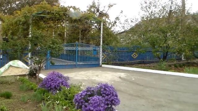 Максима Горького.                      Владимир Король.