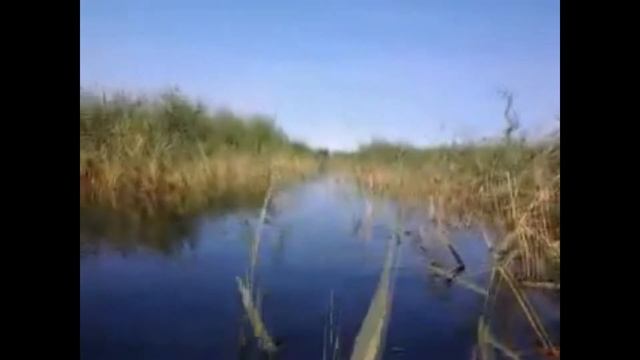 Рыбалка смотреть онлайн