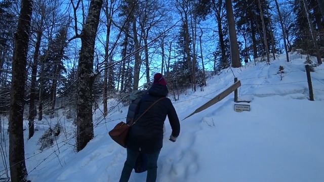 Замок Нойшванштайн. Секретная дорога. Поезда и цены Мюнхена. смотреть онлайн