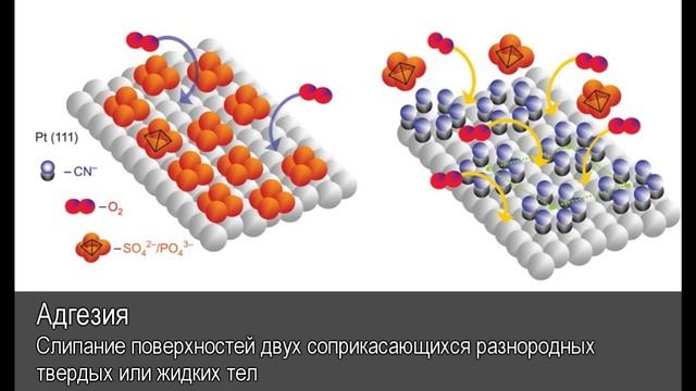 Адгезия. Толковый Видеословарь русского языка