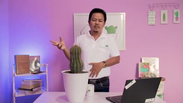 SAGUARO Carnegiea Gigantea - Cactus Kaktus смотреть онлайн