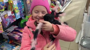 ЕДЕМ НА ЭКЗАМЕН. АЛИНА ПРИЕДЕТ ОДНА .НАСТЯ ЧАСТО ПЛАЧЕТ . 21.12.23.