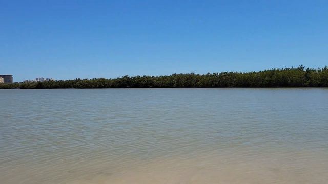 Каникулы на Marco Island. Прогулка на Tigertail пляж смотреть онлайн