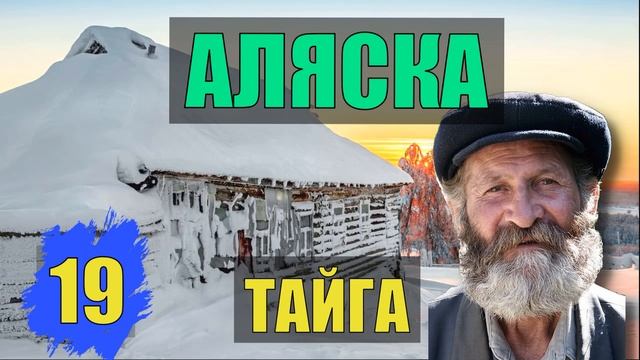 ЕЗДОВЫЕ СОБАКИ УПРЯЖКА СОБАК ВОЖАК ВЫЖИТЬ в ГОЛОД СЛУЧАЙ в ЛЕСУ СУДЬБА ПРОМЫСЕЛ ЖИЗНЬ в ТАЙГЕ 19 смотреть онлайн