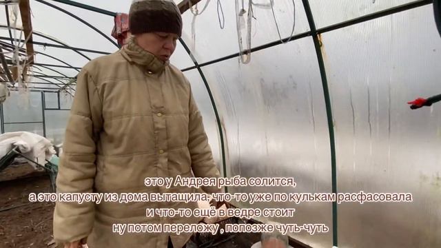 Лук из-под снега пересаживаю домой. Что с ним будет? смотреть онлайн