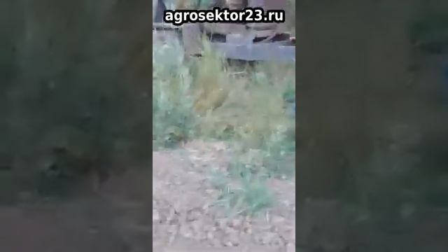 Дизельные насосные станции для орошения, собранные хозяйствами самостоятельно (156 м3/ч, 9.2 атм.) смотреть онлайн