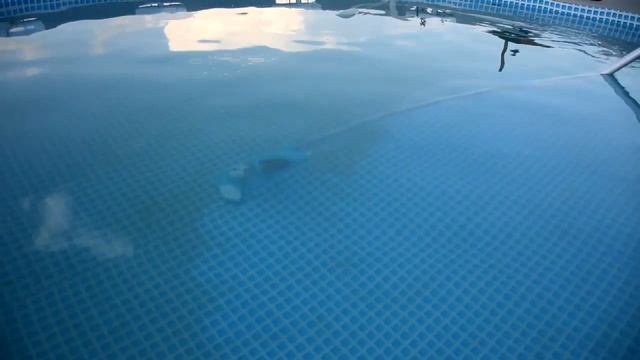 Вторая чистка бассейна после заливки смотреть онлайн