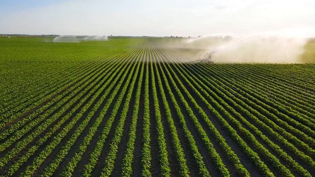 Precision Breeding at Bayer смотреть онлайн