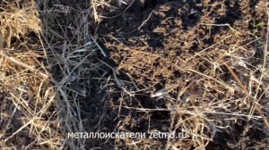 Отзыв металлоискатель Z 150.