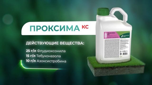 Протравитель Проксима, КС НОВИНКА! смотреть онлайн