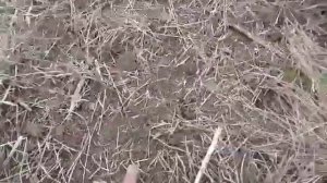 Роторные фрезы для мотоблока