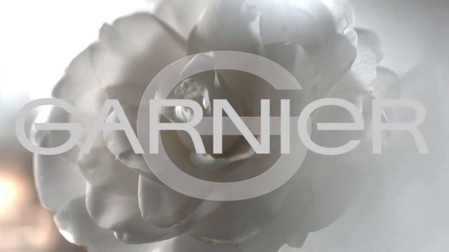 Garnier Color Sensation Silver Blonde Hair Color Cream Director's Cut (2016)