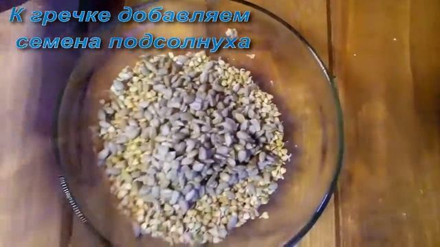 Пророщенная зеленая гречка, как вкусно и быстро приготовить) смотреть онлайн