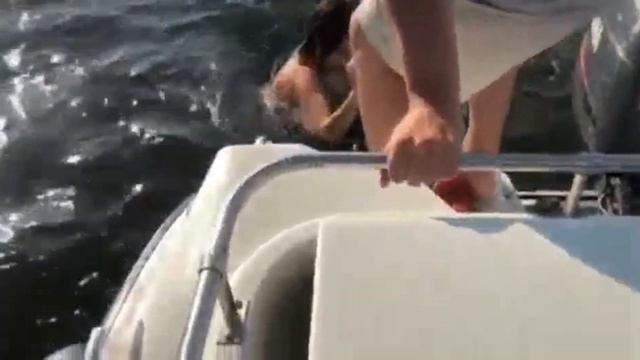 В Чувашии сотрудники МЧС России спасли двух пассажиров перевернувшейся на Волге лодки смотреть онлайн