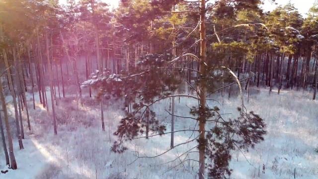 Парк 40летия ВЛКСМ. Ульяновск. Декабрь 2020 смотреть онлайн