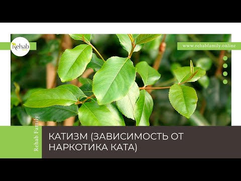 Наркотик КАТ | Действие на организм | Симптомы употребления | Стадии | Диагностика | Лечение