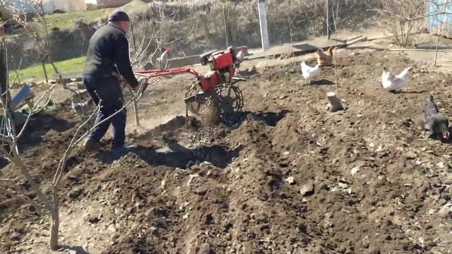 Вспахуємо твердий грунт мотоблоком горанка) смотреть онлайн