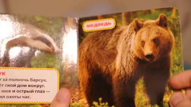 книги с тактильным элементом УМКА смотреть онлайн