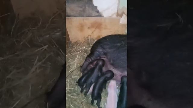 всё идёт своим чередом смотреть онлайн