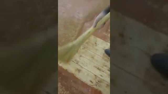 Строительные Параллели