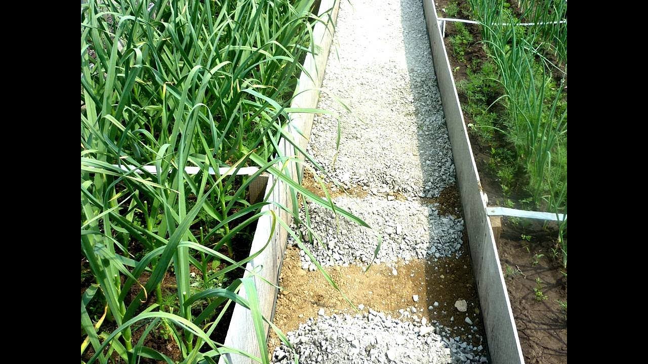 🌷Делаем Садовые дорожки между грядками своими руками🌷Бери и делай смотреть онлайн