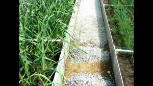 🌷Делаем Садовые дорожки между грядками своими руками🌷Бери и делай