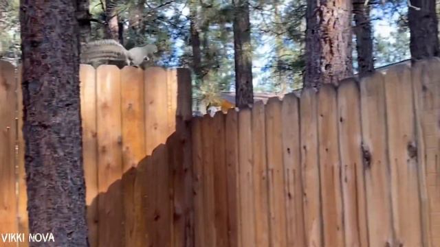Big bear 2/2 / ОЗЕРО / Русский уголок смотреть онлайн
