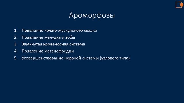 Тип круглые черви и кольчатые черви