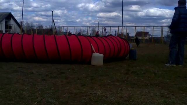 Аджилити КОСТРОМА с собакой Дворняжка смотреть онлайн