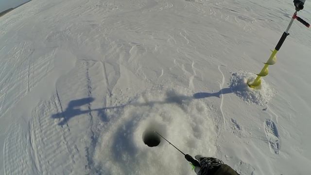 АКТИВНЫЙ КЛЕВ СУДАКА! Ловим на судака на Оби на раттлины и балансиры смотреть онлайн