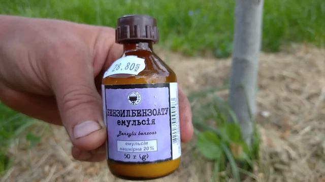 ТЛЕЙ И МУРАВЬЁВ НЕ БУДЕТ🐜🐛🦋 смотреть онлайн