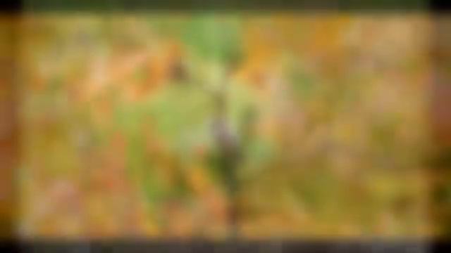 Природа (после и до) смотреть онлайн