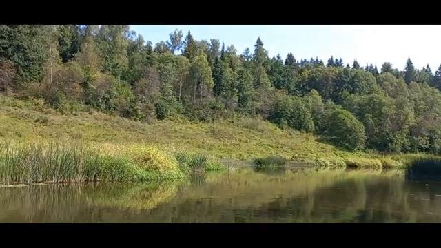Катание на лодке по реке Протва смотреть онлайн