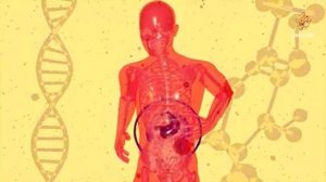 17 Чудеса сотворения | Может ли человек жить без желудка?