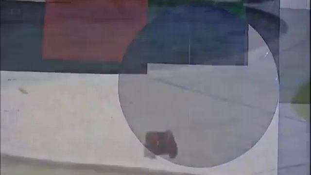 Gardeners World Season 38 Episode 22/40 (August 12, 2005)