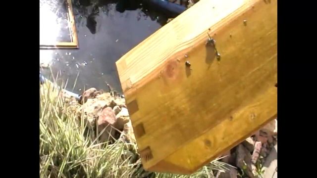 Эксперимент по замачиванию улья смотреть онлайн