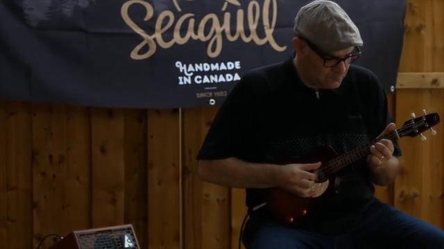 The Seagull Uke Steel