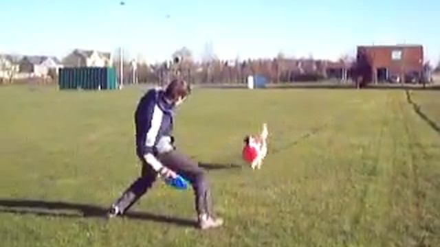 Zimri -- Dog Frisbee 17-02-2008 No.2