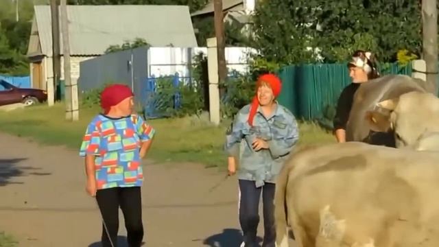 ПОЛЕВЫЕ ЦВЕТЫ исп А Смирнов cover смотреть онлайн