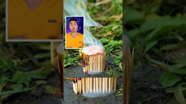 Ты сказал семья? 😂 смотреть онлайн