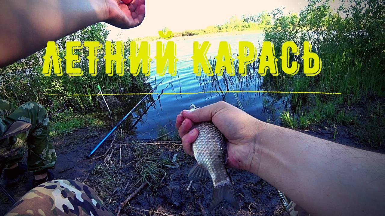 ЛОВЛЯ КАРАСЯ ЛЕТОМ!РЫБАЛКА НА ПОПЛАВОК смотреть онлайн