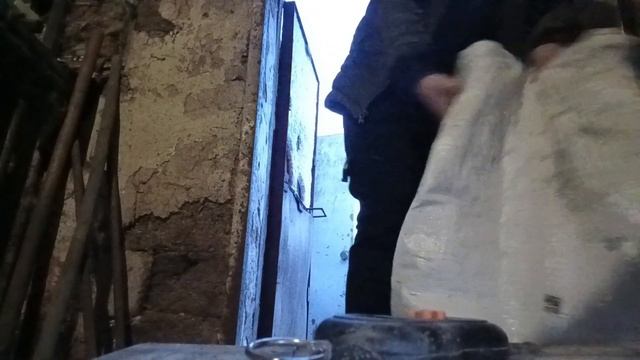 НОВЫЙ СЕЛЕЗЕНЬ, вес моих индоуток в 7 месяцев